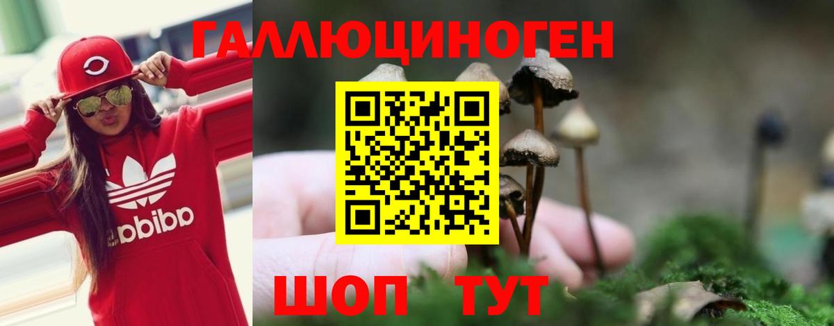 Галлюциногенные грибы мухоморы Азов